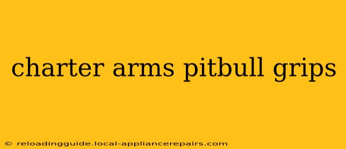 charter arms pitbull grips