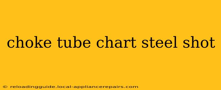 choke tube chart steel shot