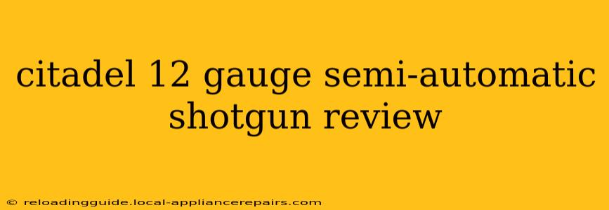 citadel 12 gauge semi-automatic shotgun review