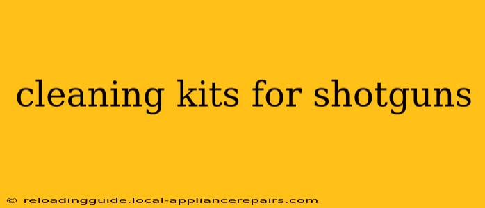 cleaning kits for shotguns