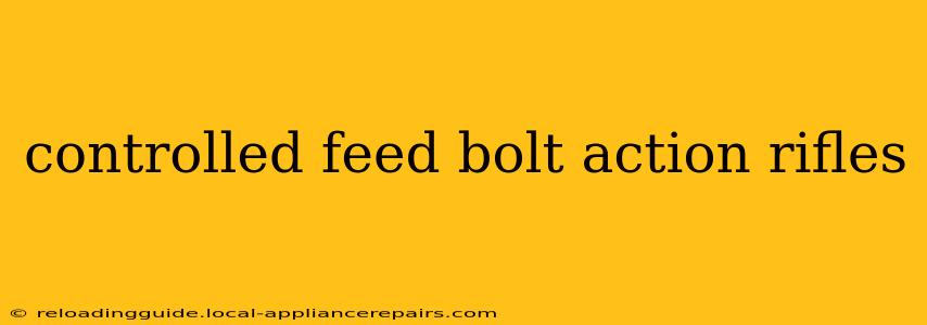 controlled feed bolt action rifles