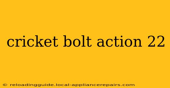 cricket bolt action 22