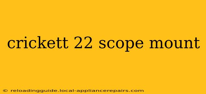 crickett 22 scope mount