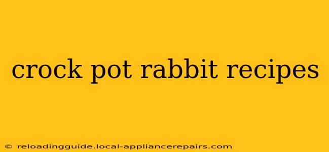 crock pot rabbit recipes