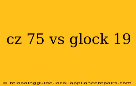 cz 75 vs glock 19