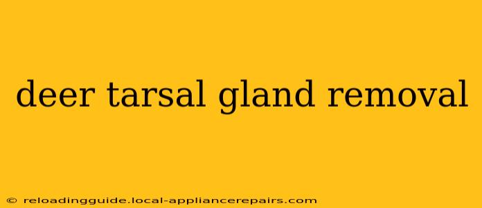 deer tarsal gland removal