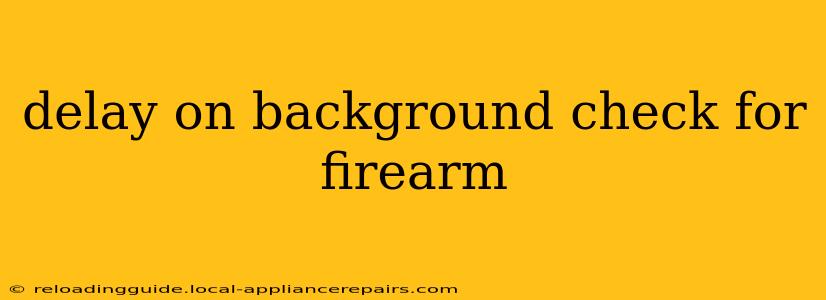 delay on background check for firearm