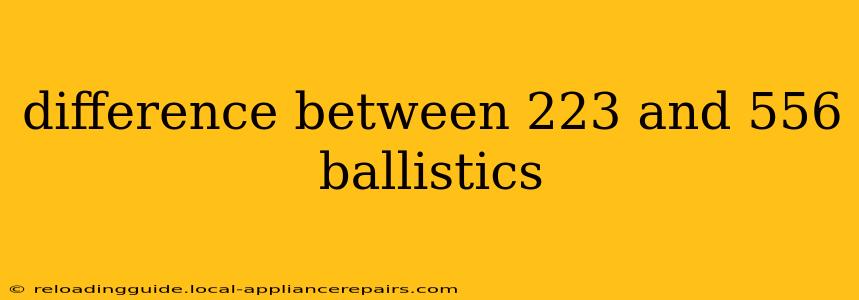 difference between 223 and 556 ballistics