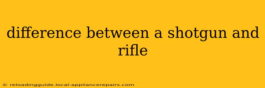 difference between a shotgun and rifle