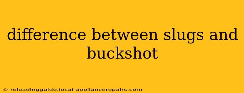 difference between slugs and buckshot