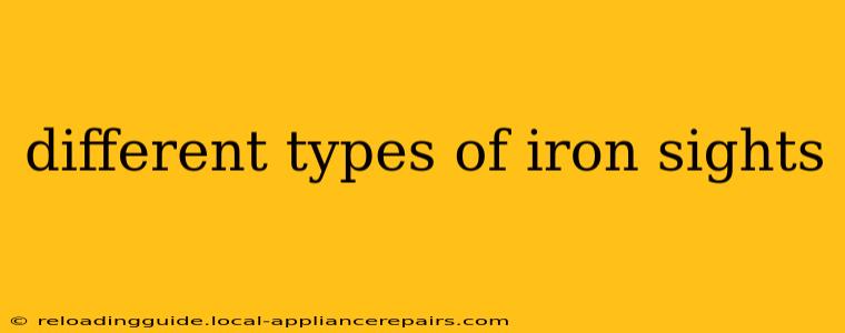 different types of iron sights