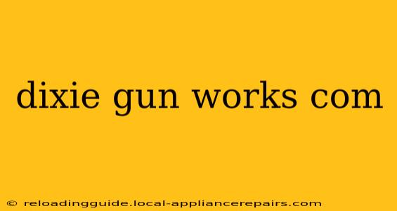 dixie gun works com