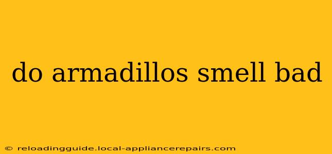 do armadillos smell bad