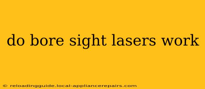 do bore sight lasers work