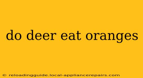 do deer eat oranges