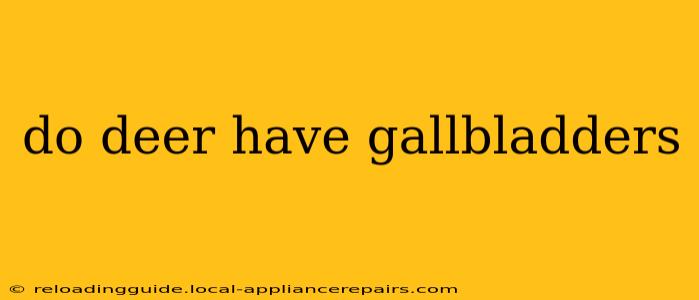 do deer have gallbladders