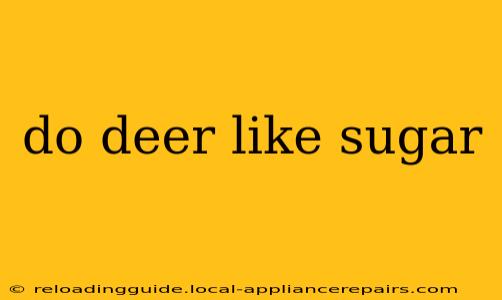 do deer like sugar