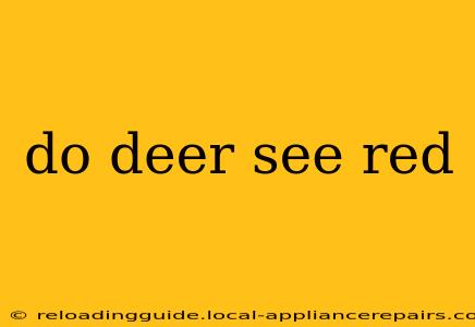 do deer see red