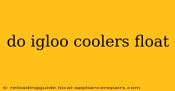 do igloo coolers float