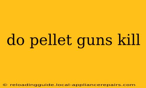 do pellet guns kill