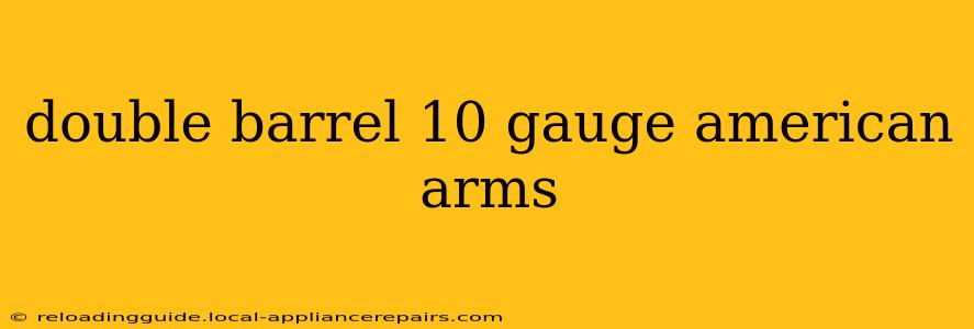 double barrel 10 gauge american arms