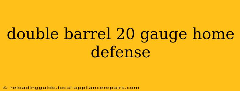 double barrel 20 gauge home defense