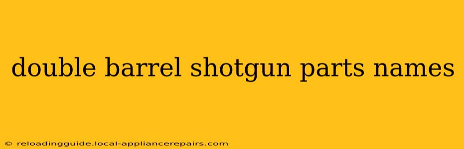 double barrel shotgun parts names