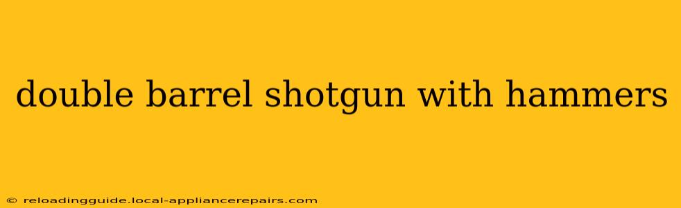 double barrel shotgun with hammers