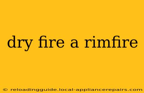 dry fire a rimfire