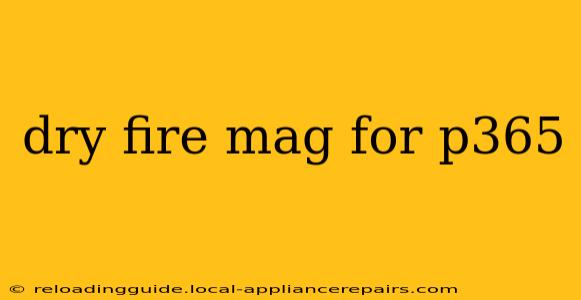 dry fire mag for p365