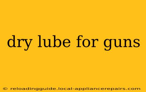 dry lube for guns