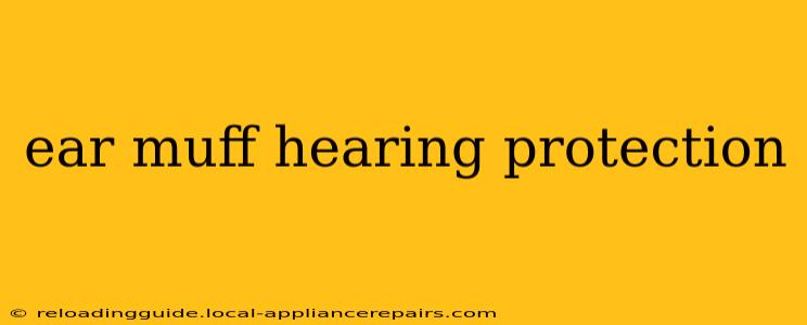 ear muff hearing protection