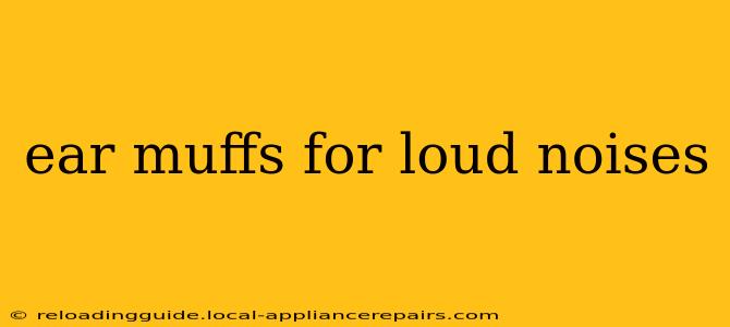 ear muffs for loud noises