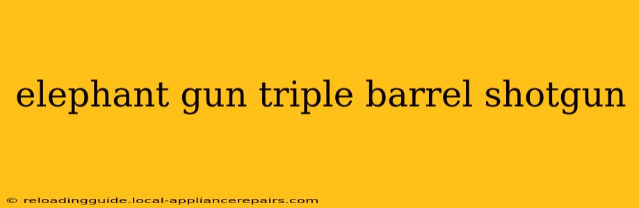 elephant gun triple barrel shotgun