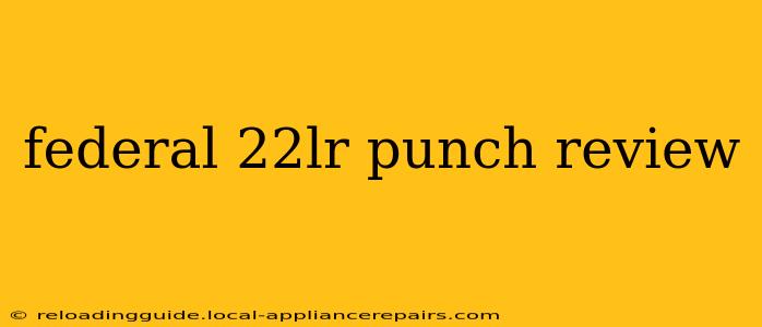 federal 22lr punch review