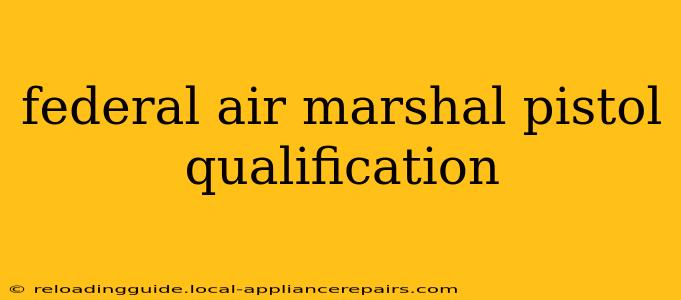 federal air marshal pistol qualification