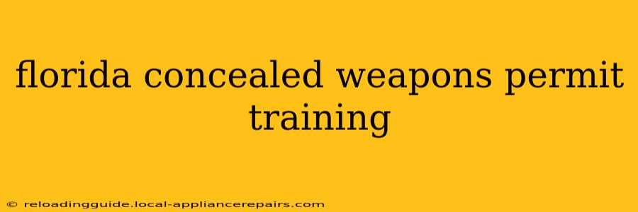 florida concealed weapons permit training