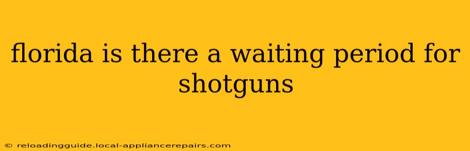 florida is there a waiting period for shotguns