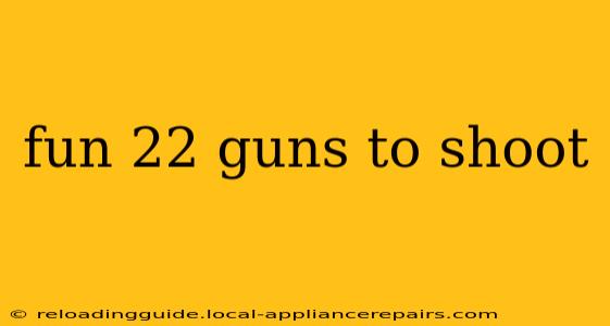 fun 22 guns to shoot