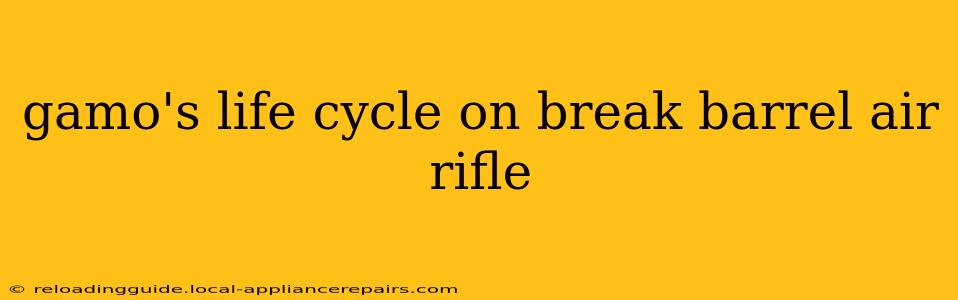 gamo's life cycle on break barrel air rifle