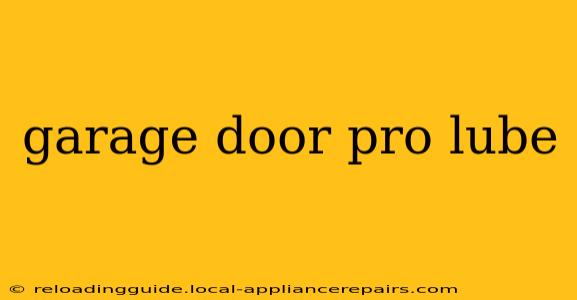 garage door pro lube