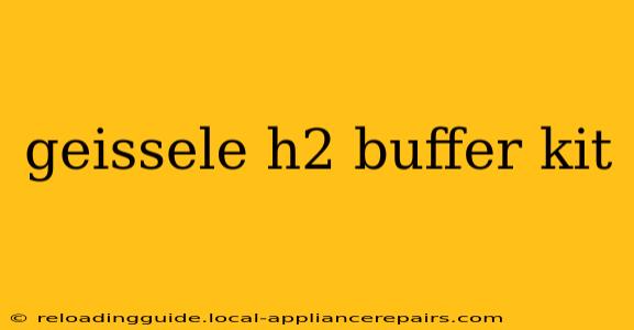 geissele h2 buffer kit