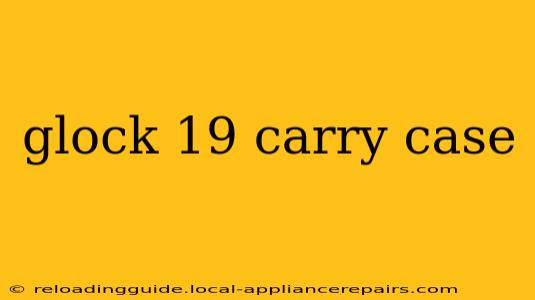 glock 19 carry case