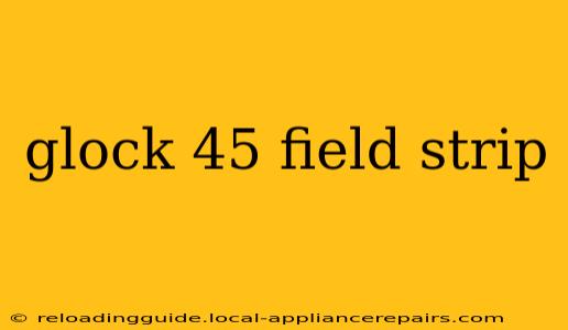 glock 45 field strip