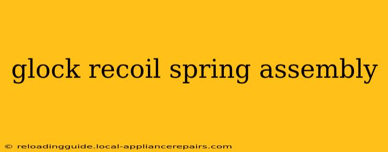 glock recoil spring assembly