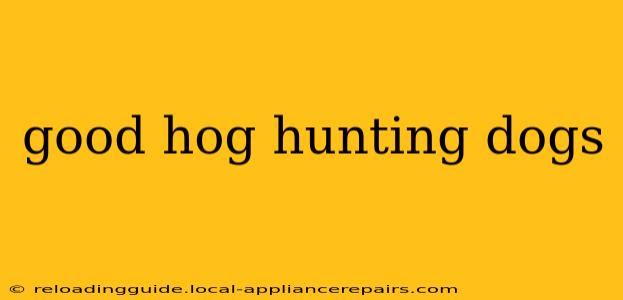 good hog hunting dogs