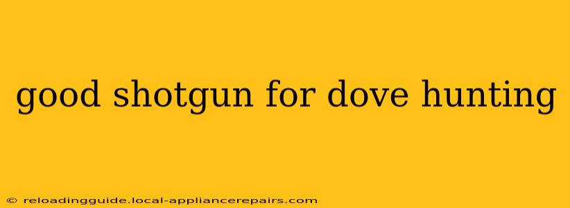 good shotgun for dove hunting