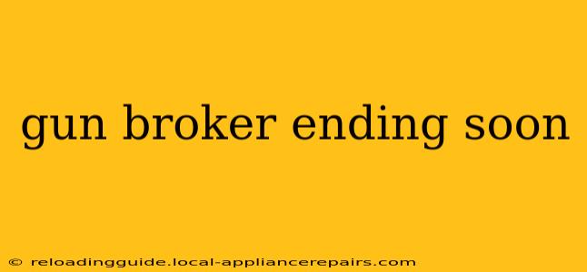 gun broker ending soon