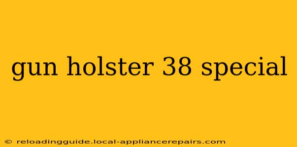 gun holster 38 special