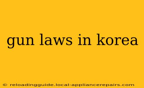 gun laws in korea